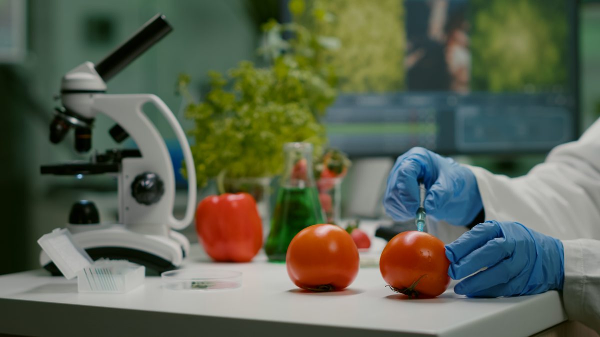 Zbliżenie na chemika-naukowca wstrzykującego pobierającego próbkę soku z pomidora strzykawką. Biochemik pracujący w laboratorium badający żywność prozdrowotną w ramach specjalizacji z mikrobiologii.