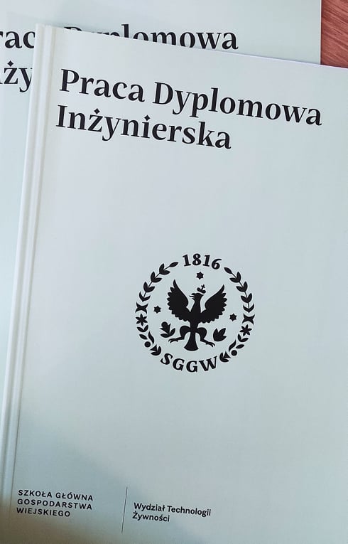 Praca dyplomowa - okładka