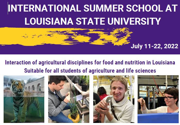 summer school